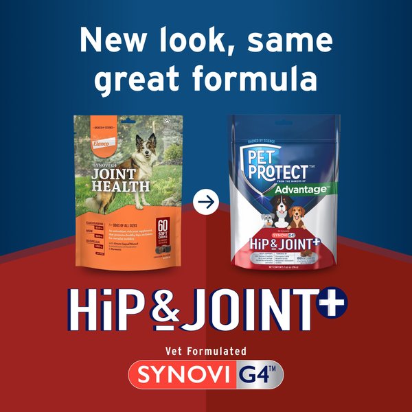Show full view: Pet Protect Synovi G4 Hip & Joint+ Chicken Flavored Soft Chew Supplement with Glucosamine for Dogs, 60 count slide 3 of 11