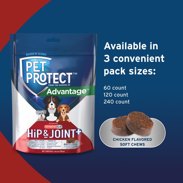 Show full view: Pet Protect Synovi G4 Hip & Joint+ Chicken Flavored Soft Chew Supplement with Glucosamine for Dogs, 60 count slide 6 of 11