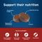 Show in main carousel: Pet Protect Vet-Formulated Synovi G4 Hip & Joint+ Chicken Flavored Soft Chew Supplement with Glucosamine for Dogs, 60 count slide 6 of 11