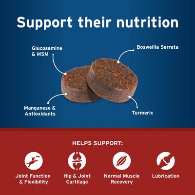 Show full view: Pet Protect Vet-Formulated Synovi G4 Hip & Joint+ Chicken Flavored Soft Chew Supplement with Glucosamine for Dogs, 60 count slide 6 of 11