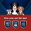 Show in main carousel: Pet Protect Synovi G4 Hip & Joint+ Chicken Flavored Soft Chew Supplement with Glucosamine for Dogs, 60 count slide 4 of 11