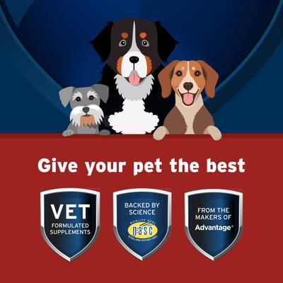Show full view: Pet Protect Vet-Formulated Synovi G4 Hip & Joint+ Chicken Flavored Soft Chew Supplement with Glucosamine for Dogs, 60 count slide 5 of 11