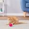 Show in main carousel: Pet Qwerks Babble Ball Kitten Toy with Catnip slide 6 of 10