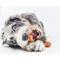 Show in main carousel: Pet Qwerks BarkBone BBQ Flavor Tough Dog Chew Toy, Medium slide 5 of 8