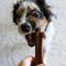Show in main carousel: Pet Qwerks Barkbone Peanut Butter Flavor Tough Dog Chew Toy, Small slide 4 of 9