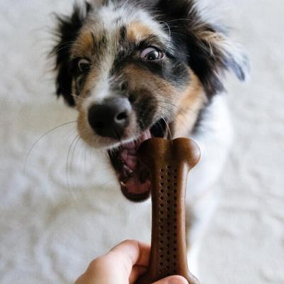 Show full view: Pet Qwerks Barkbone Peanut Butter Flavor Tough Dog Chew Toy, Small slide 4 of 9