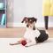 Show in main carousel: Pet Qwerks Blinky Babble Ball Dog Toy, Small slide 4 of 9