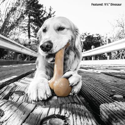 Show full view: Pet Qwerks Dinosaur BarkBone Bacon Flavor Tough Dog Chew Toy, Medium slide 5 of 9