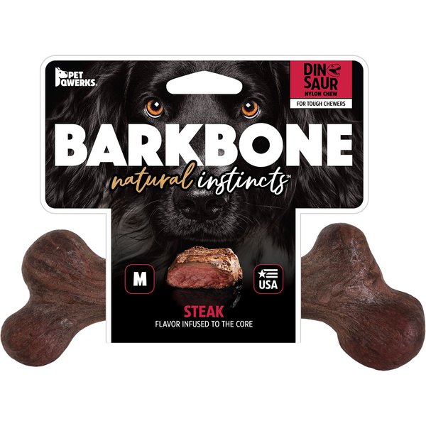 Pet Qwerks Dinosaur BarkBone Nylon & Wood Dog Toy