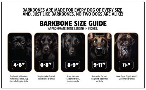 Show full view: Pet Qwerks Wish BarkBone Chew Dog Toy, Brown, Large slide 5 of 6