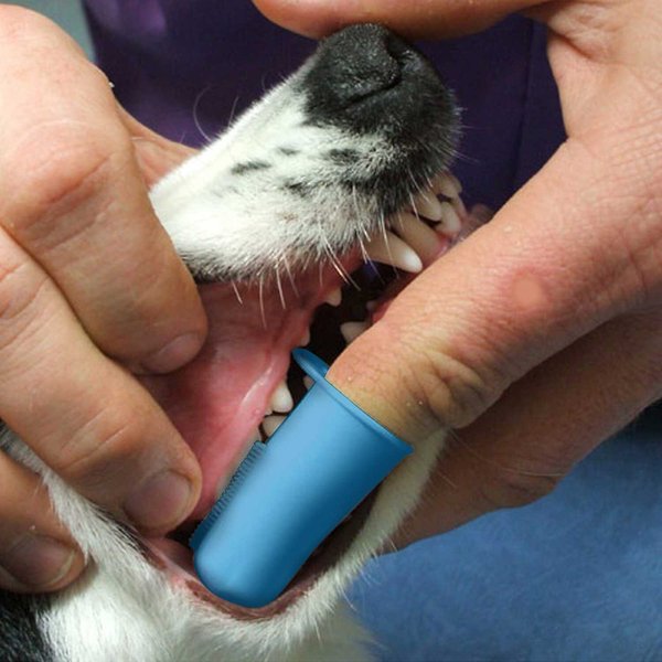 Show full view: Pet Republique Dog & Cat Finger Toothbrush, 3 count slide 6 of 8