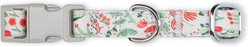 Pet Shop by Fringe Studio Ditsy Floral Dog Collar, Small: 9 to 13-in neck, 0.99-in wide