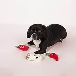 Pet Shop by Fringe Studio Hot & Spicy Small Dog Squeaky Plush Dog Toy, 3 count slide 2 of 3