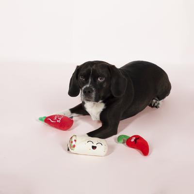 Show full view: Pet Shop by Fringe Studio Hot & Spicy Small Dog Squeaky Plush Dog Toy, 3 count slide 2 of 3