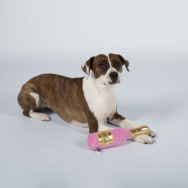 Pet Shop by Fringe Studio Mutt Rose Champagne Squeaky Plush Dog Toy