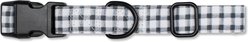 Pet Shop by Fringe Studio Painted Gingham Dog Collar, Large: 16 to 26-in neck, 0.99-in wide