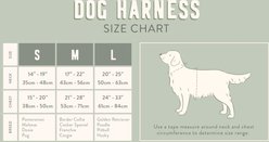 Pet Shop by Fringe Studio Painted Gingham Dog Harness, Medium: 17 to 22-in chest girth slide 2 of 2