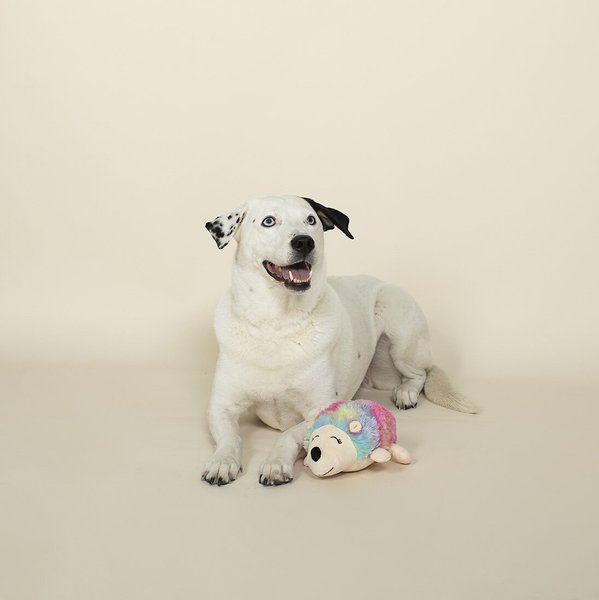 Pet Shop by Fringe Studio Chloe the Calco Caticorn Squeaky Plush Dog Toy