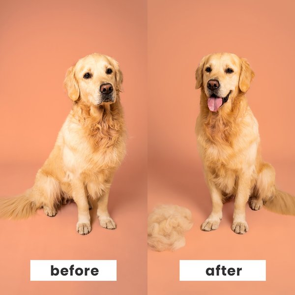 Show full view: Pet Teezer De-Shedding Dog Grooming Brush, Small slide 4 of 8