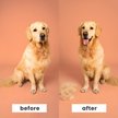 Show in main carousel: Pet Teezer De-Shedding Dog Grooming Brush, Small slide 4 of 8