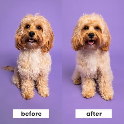 Show full view: Pet Teezer Large Detangling Dual-Tier Dog Grooming Brush, Blue slide 5 of 9