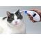Show in main carousel: Pet-Temp Instant Pet Ear Thermometer slide 4 of 5