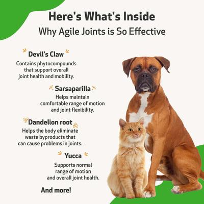 Show full view: Pet Wellbeing Agile Joints Bacon Flavored Liquid Joint Supplement for Dogs & Cats, 2-oz bottle slide 7 of 11