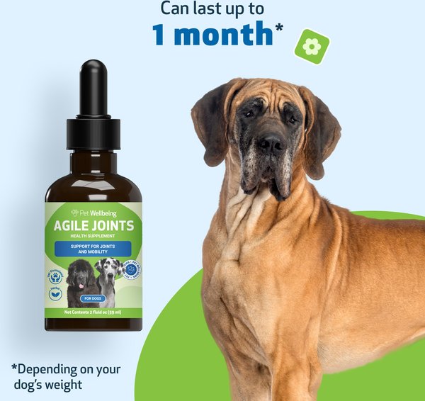 Pet Wellbeing Agile Joints Liquid Joint Supplement for Dogs, 2-oz bottle