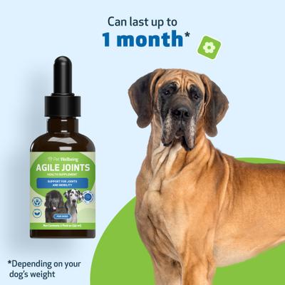 Show full view: Pet Wellbeing Agile Joints Liquid Joint Supplement for Dogs, 2-oz bottle slide 6 of 7