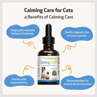 Show full view: Pet Wellbeing Calming CARE Bacon Flavored Liquid Calming Supplement for Cats & Dogs, 2-oz bottle slide 5 of 10