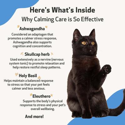 Show full view: Pet Wellbeing Calming CARE Bacon Flavored Liquid Calming Supplement for Cats & Dogs, 2-oz bottle slide 7 of 10