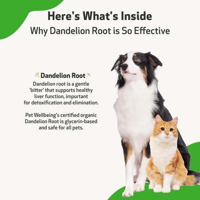 Show full view: Pet Wellbeing Dandelion Root Bacon Flavored Liquid Digestive & Liver Supplement for Dog, 4-oz bottle slide 7 of 10