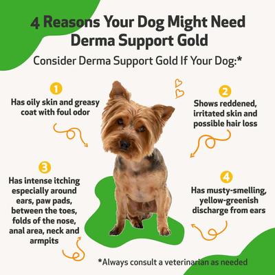 Show full view: Pet Wellbeing Derma Support GOLD Liquid Skin & Coat Supplement for Dogs, 2-oz bottle slide 4 of 11