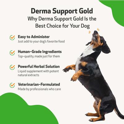 Show full view: Pet Wellbeing Derma Support GOLD Liquid Skin & Coat Supplement for Dogs, 2-oz bottle slide 6 of 11