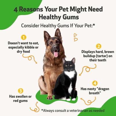Show full view: Pet Wellbeing Healthy Gums Liquid Dental Supplement for Cats & Dogs, 2-oz bottle slide 4 of 11