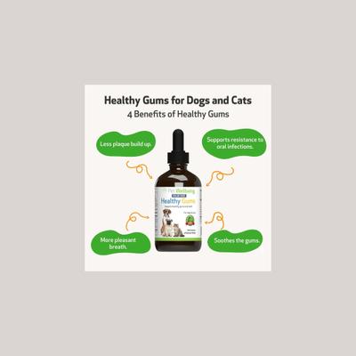 Show full view: Pet Wellbeing Healthy Gums Liquid Dental Supplement for Cats & Dogs, 2-oz bottle slide 5 of 11