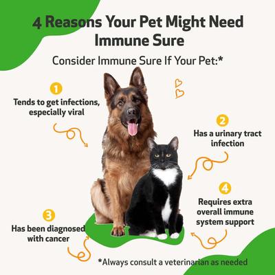 Show full view: Pet Wellbeing Immune SURE Bacon Flavored Liquid Immune Supplement for Dogs & Cats, 2-oz bottle slide 4 of 10