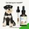 Show in main carousel: Pet Wellbeing Immune SURE Liquid Immune Support Supplement for Dogs, 2-oz bottle slide 8 of 10