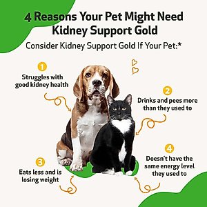 Pet Wellbeing Kidney Support GOLD Bacon Flavored Liquid Kidney Supplement for Dogs & Cats, 4-oz bottle
