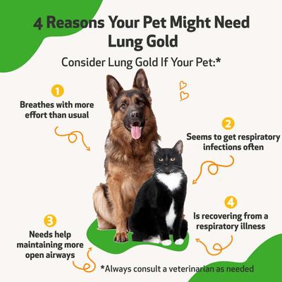 Show full view: Pet Wellbeing Lung GOLD Bacon Flavored Liquid Respiratory Supplement for Cats, 4-oz bottle slide 4 of 11