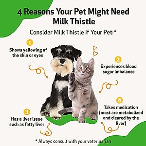 Pet Wellbeing Milk Thistle Bacon Flavored Liquid Liver Supplement for Dogs & Cats, 2-oz bottle