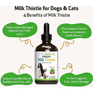 Pet Wellbeing Milk Thistle Bacon Flavored Liquid Liver Supplement for Dogs & Cats, 2-oz bottle