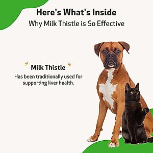 Pet Wellbeing Milk Thistle Bacon Flavored Liquid Liver Supplement for Dogs & Cats, 2-oz bottle