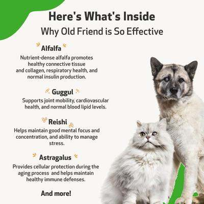 Show full view: Pet Wellbeing Old Friend Liquid Supplement for Senior Dogs, 2-oz bottle slide 6 of 10