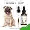 Show in main carousel: Pet Wellbeing Old Friend Liquid Supplement for Senior Dogs, 2-oz bottle slide 8 of 10