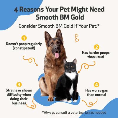 Show full view: Pet Wellbeing Smooth BM GOLD Bacon Flavored Liquid Digestive Supplement for Cats & Dogs, 2-oz bottle slide 4 of 11