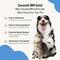 Show in main carousel: Pet Wellbeing Smooth BM GOLD Bacon Flavored Liquid Digestive Supplement for Cats & Dogs, 2-oz bottle slide 6 of 11