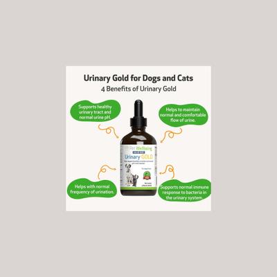 Show full view: Pet Wellbeing Urinary GOLD Bacon Flavored Liquid Urinary Supplement for Dogs, 2-oz bottle slide 5 of 11