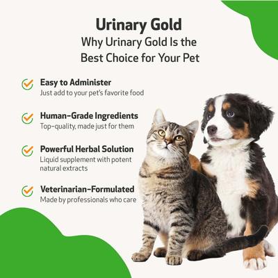 Show full view: Pet Wellbeing Urinary GOLD Bacon Flavored Liquid Urinary Supplement for Dogs, 2-oz bottle slide 6 of 11