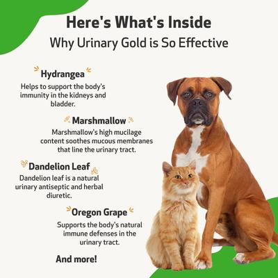 Show full view: Pet Wellbeing Urinary Gold Liquid Urinary Tract Supplement for Dogs & Cats, 2-oz bottle slide 6 of 10